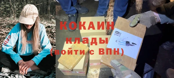 дживик Горнозаводск
